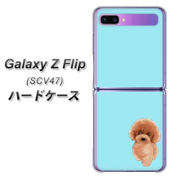 au ギャラクシーZ フリップ SCV47 高画質仕上げ 背面印刷 ハードケース【YJ050 トイプードルレッド(ブルー)】
