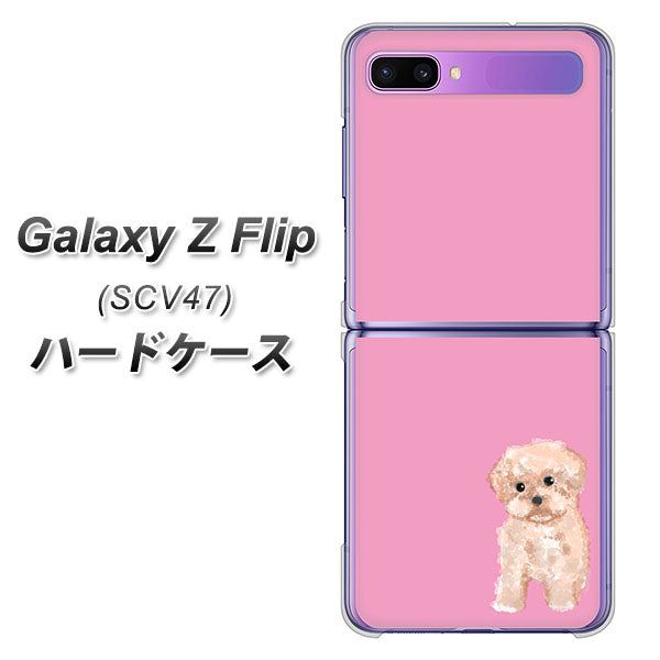 au ギャラクシーZ フリップ SCV47 高画質仕上げ 背面印刷 ハードケース【YJ061 トイプードルアプリコット(ピンク)】