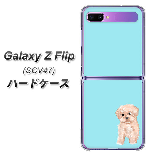 au ギャラクシーZ フリップ SCV47 高画質仕上げ 背面印刷 ハードケース【YJ062 トイプードルアプリコット(ブルー)】
