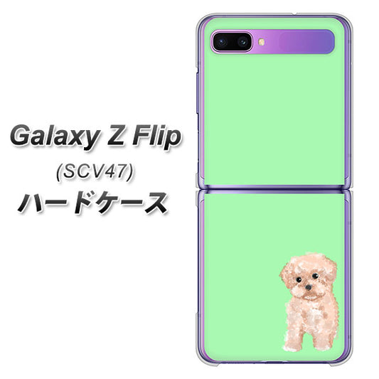 au ギャラクシーZ フリップ SCV47 高画質仕上げ 背面印刷 ハードケース【YJ063 トイプードルアプリコット(グリーン)】