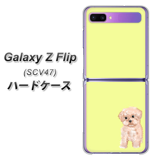 au ギャラクシーZ フリップ SCV47 高画質仕上げ 背面印刷 ハードケース【YJ064 トイプードルアプリコット(イエロー)】