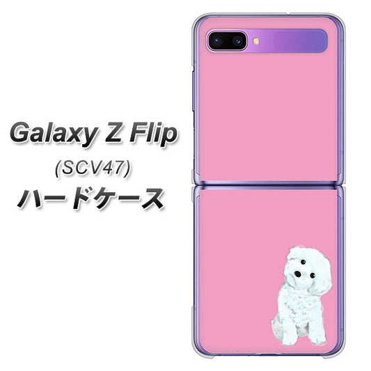 au ギャラクシーZ フリップ SCV47 高画質仕上げ 背面印刷 ハードケース【YJ069 トイプードルホワイト(ピンク)】