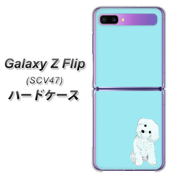 au ギャラクシーZ フリップ SCV47 高画質仕上げ 背面印刷 ハードケース【YJ070 トイプードルホワイト(ブルー)】