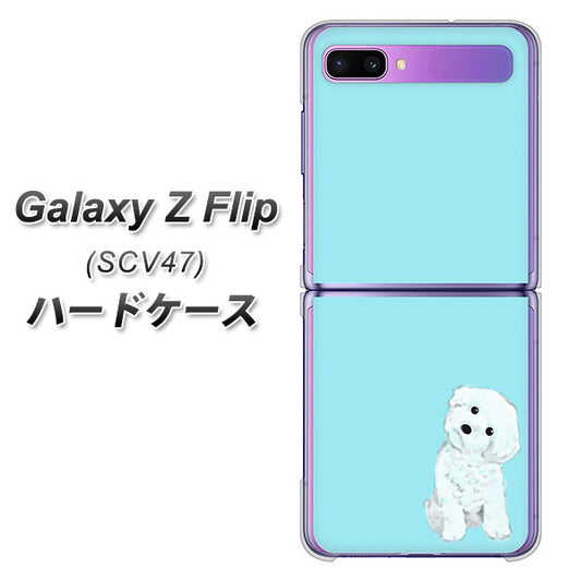 au ギャラクシーZ フリップ SCV47 高画質仕上げ 背面印刷 ハードケース【YJ070 トイプードルホワイト(ブルー)】