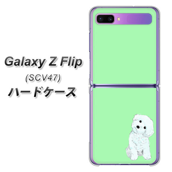 au ギャラクシーZ フリップ SCV47 高画質仕上げ 背面印刷 ハードケース【YJ071 トイプードルホワイト(グリーン)】