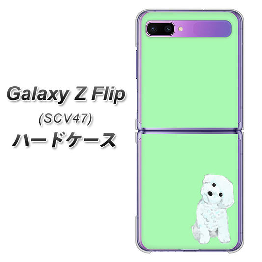 au ギャラクシーZ フリップ SCV47 高画質仕上げ 背面印刷 ハードケース【YJ071 トイプードルホワイト(グリーン)】