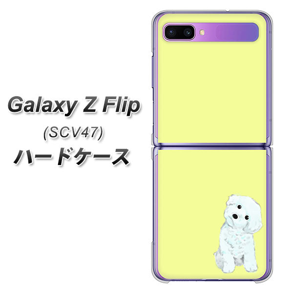 au ギャラクシーZ フリップ SCV47 高画質仕上げ 背面印刷 ハードケース【YJ072 トイプードルホワイト(イエロー)】