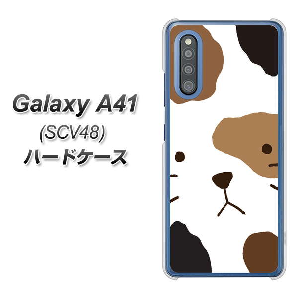 au ギャラクシーA41 SCV48 高画質仕上げ 背面印刷 ハードケース【IA801 みけ】