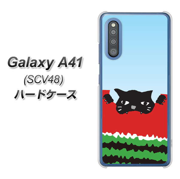 au ギャラクシーA41 SCV48 高画質仕上げ 背面印刷 ハードケース【IA815 すいかをかじるネコ(大)】