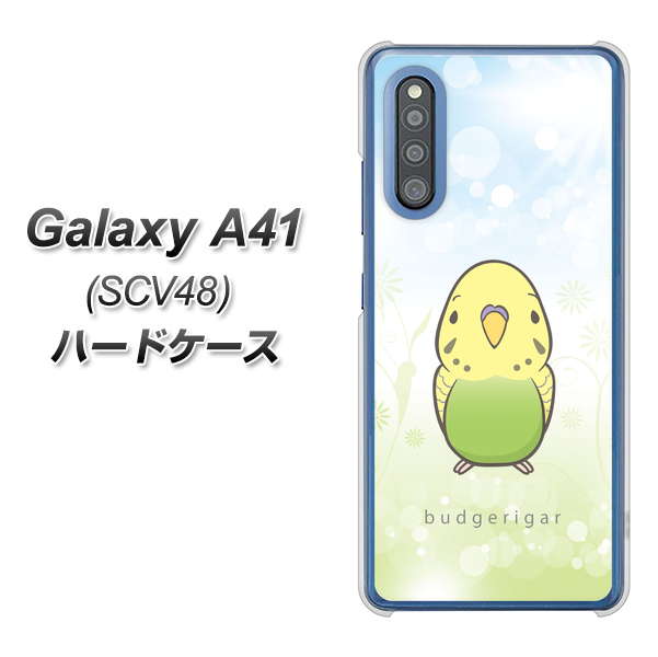 au ギャラクシーA41 SCV48 高画質仕上げ 背面印刷 ハードケース【SC838 セキセイインコ グリーン】