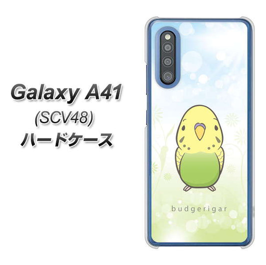 au ギャラクシーA41 SCV48 高画質仕上げ 背面印刷 ハードケース【SC838 セキセイインコ グリーン】