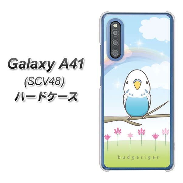 au ギャラクシーA41 SCV48 高画質仕上げ 背面印刷 ハードケース【SC839 セキセイインコ ブルー】
