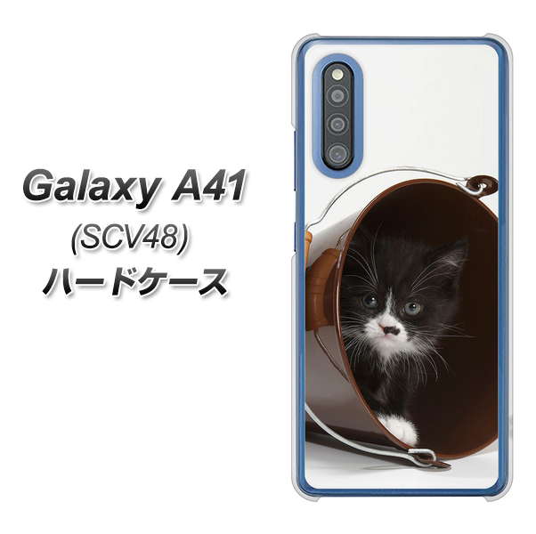 au ギャラクシーA41 SCV48 高画質仕上げ 背面印刷 ハードケース【VA800 ネコとバケツ】