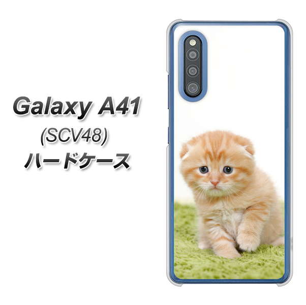 au ギャラクシーA41 SCV48 高画質仕上げ 背面印刷 ハードケース【VA802 ネコこっそり】