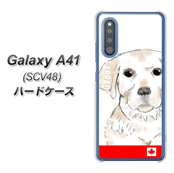 au ギャラクシーA41 SCV48 高画質仕上げ 背面印刷 ハードケース【YD821 ラブラドールレトリバー02】