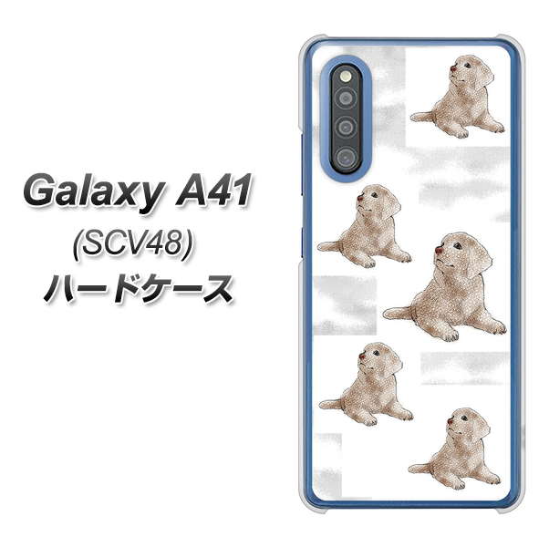 au ギャラクシーA41 SCV48 高画質仕上げ 背面印刷 ハードケース【YD823 ラブラドールレトリバー04】