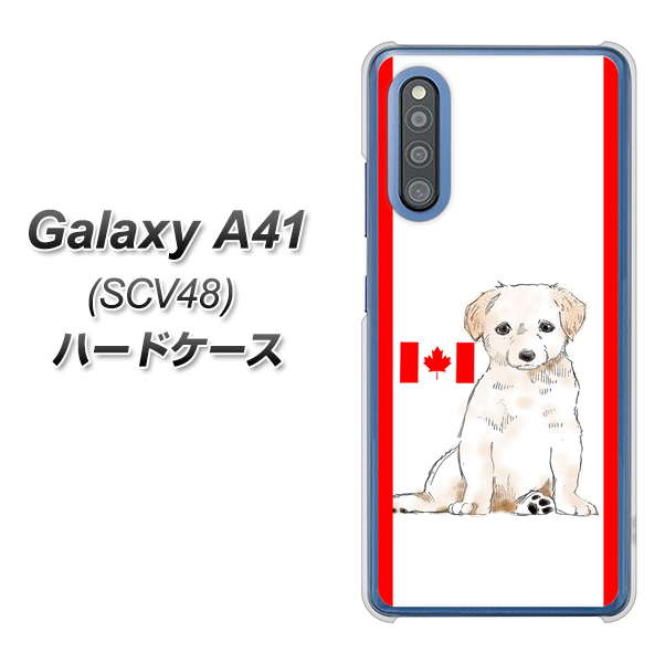 au ギャラクシーA41 SCV48 高画質仕上げ 背面印刷 ハードケース【YD824 ラブラドールレトリバー05】