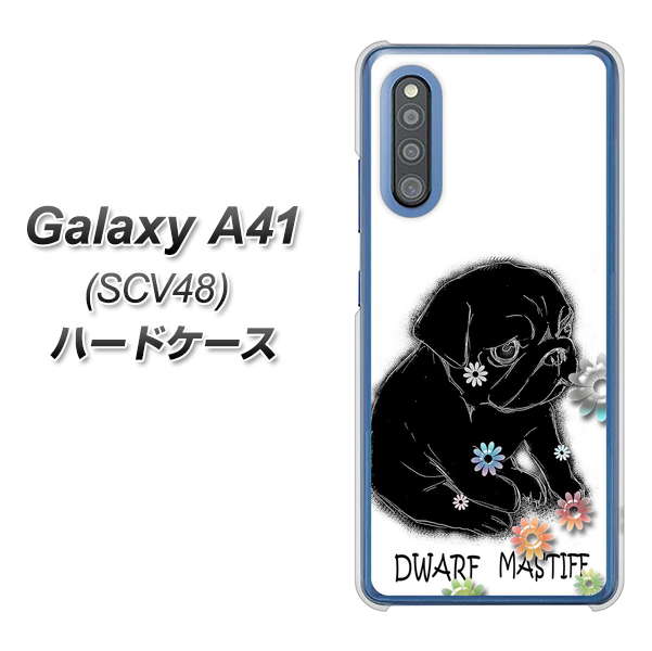 au ギャラクシーA41 SCV48 高画質仕上げ 背面印刷 ハードケース【YD859 パグ05】