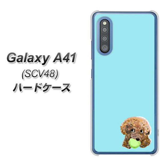 au ギャラクシーA41 SCV48 高画質仕上げ 背面印刷 ハードケース【YJ054 トイプードル&ボール(ブルー)】