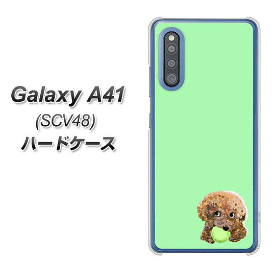 au ギャラクシーA41 SCV48 高画質仕上げ 背面印刷 ハードケース【YJ055 トイプードル&ボール(グリーン)】