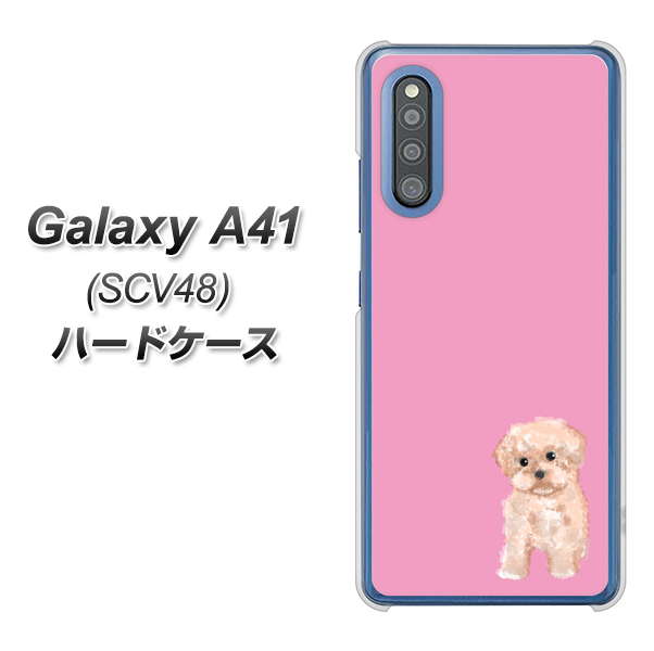 au ギャラクシーA41 SCV48 高画質仕上げ 背面印刷 ハードケース【YJ061 トイプードルアプリコット(ピンク)】