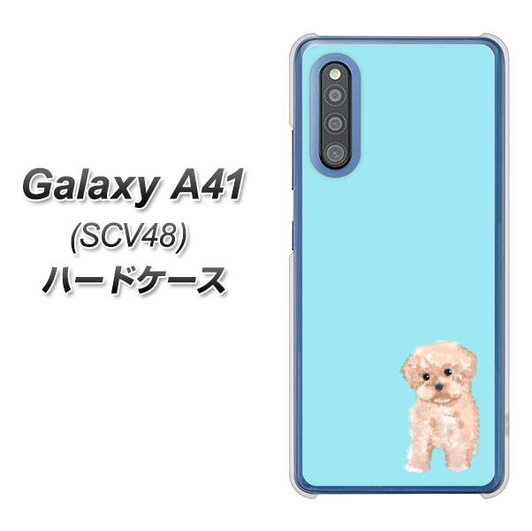 au ギャラクシーA41 SCV48 高画質仕上げ 背面印刷 ハードケース【YJ062 トイプードルアプリコット(ブルー)】