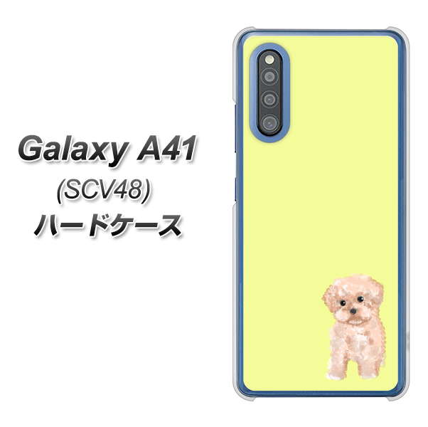 au ギャラクシーA41 SCV48 高画質仕上げ 背面印刷 ハードケース【YJ064 トイプードルアプリコット(イエロー)】
