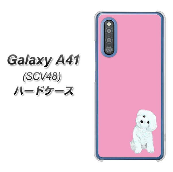 au ギャラクシーA41 SCV48 高画質仕上げ 背面印刷 ハードケース【YJ069 トイプードルホワイト(ピンク)】