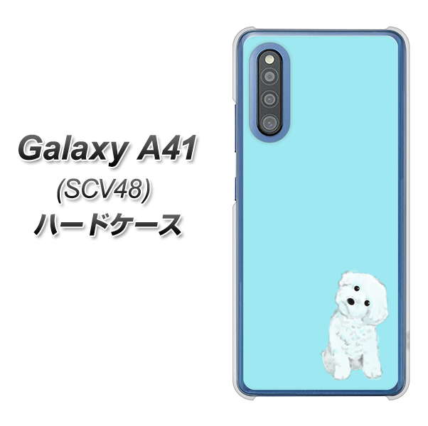 au ギャラクシーA41 SCV48 高画質仕上げ 背面印刷 ハードケース【YJ070 トイプードルホワイト(ブルー)】