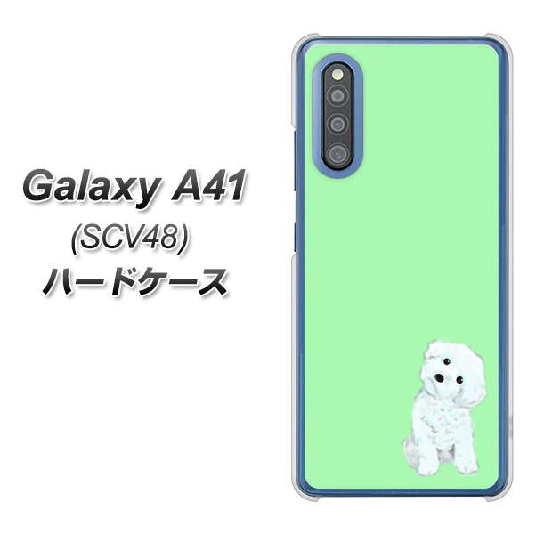 au ギャラクシーA41 SCV48 高画質仕上げ 背面印刷 ハードケース【YJ071 トイプードルホワイト(グリーン)】