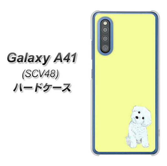 au ギャラクシーA41 SCV48 高画質仕上げ 背面印刷 ハードケース【YJ072 トイプードルホワイト(イエロー)】