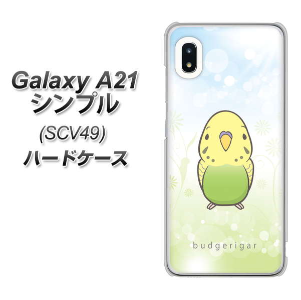 au ギャラクシーA21 シンプル SCV49 高画質仕上げ 背面印刷 ハードケース【SC838 セキセイインコ グリーン】