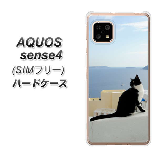 SIMフリー アクオスセンス4 高画質仕上げ 背面印刷 ハードケース【VA805 ネコと地中海】