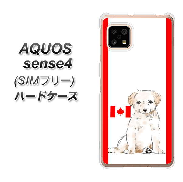 SIMフリー アクオスセンス4 高画質仕上げ 背面印刷 ハードケース【YD824 ラブラドールレトリバー05】