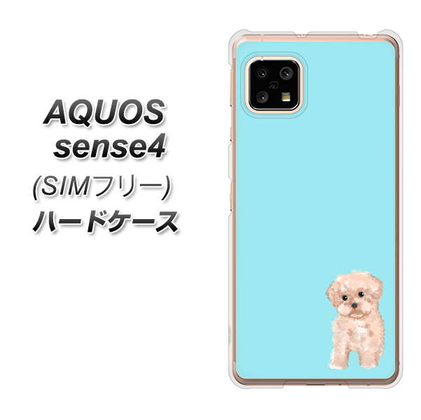 SIMフリー アクオスセンス4 高画質仕上げ 背面印刷 ハードケース【YJ062 トイプードルアプリコット(ブルー)】