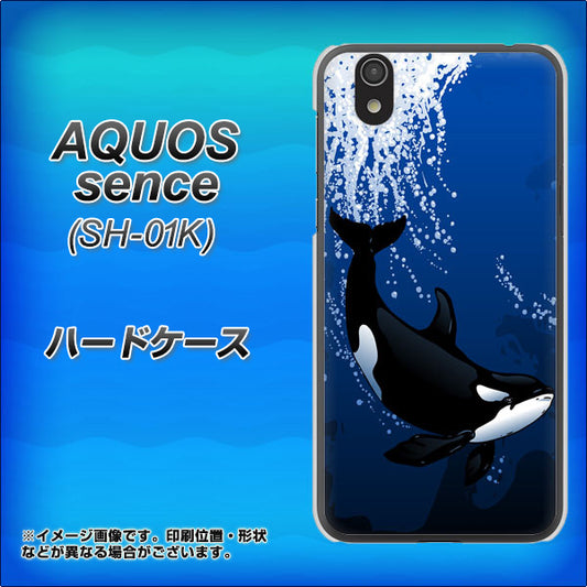 docomo アクオス センス SH-01K 高画質仕上げ 背面印刷 ハードケース【423 シャチ】