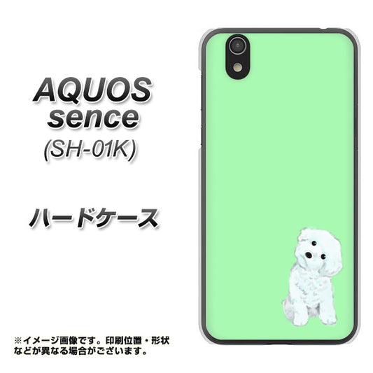 docomo アクオス センス SH-01K 高画質仕上げ 背面印刷 ハードケース【YJ071 トイプードルホワイト(グリーン)】