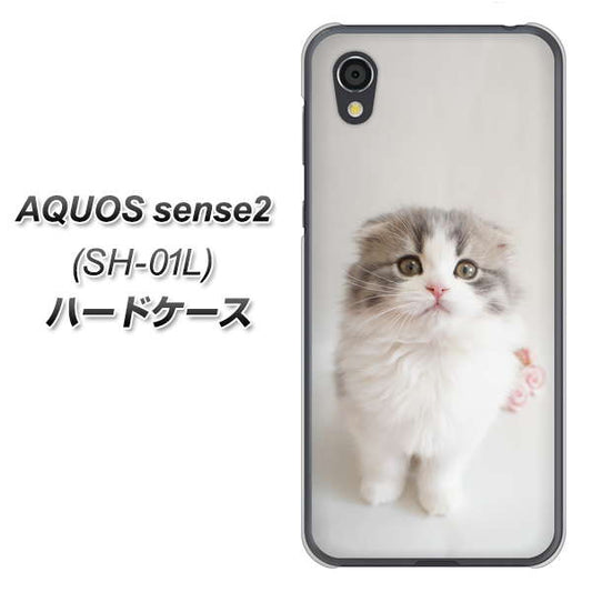 docomo アクオスセンス2 SH-01L 高画質仕上げ 背面印刷 ハードケース【VA803 まっていますネコ】