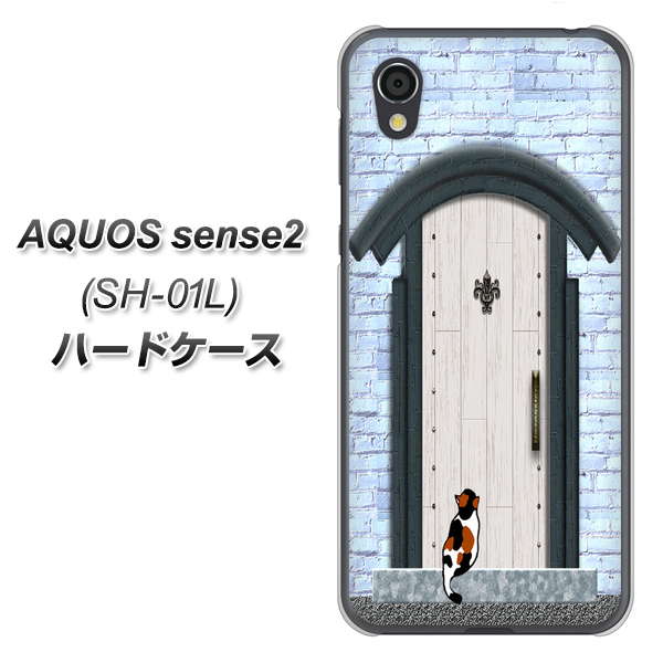 docomo アクオスセンス2 SH-01L 高画質仕上げ 背面印刷 ハードケース【YA951 石ドア01】