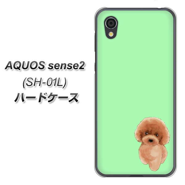 docomo アクオスセンス2 SH-01L 高画質仕上げ 背面印刷 ハードケース【YJ052 トイプードルレッド( グリーン)】
