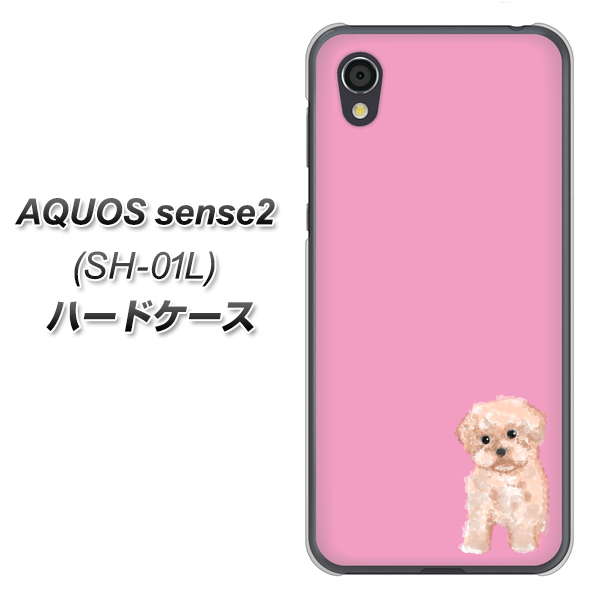 docomo アクオスセンス2 SH-01L 高画質仕上げ 背面印刷 ハードケース【YJ061 トイプードルアプリコット(ピンク)】