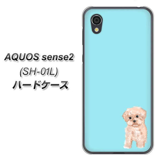 docomo アクオスセンス2 SH-01L 高画質仕上げ 背面印刷 ハードケース【YJ062 トイプードルアプリコット(ブルー)】