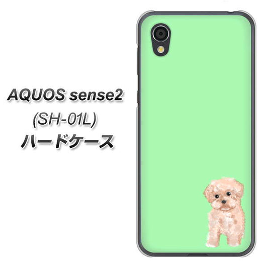 docomo アクオスセンス2 SH-01L 高画質仕上げ 背面印刷 ハードケース【YJ063 トイプードルアプリコット(グリーン)】