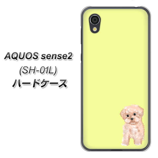 docomo アクオスセンス2 SH-01L 高画質仕上げ 背面印刷 ハードケース【YJ064 トイプードルアプリコット(イエロー)】