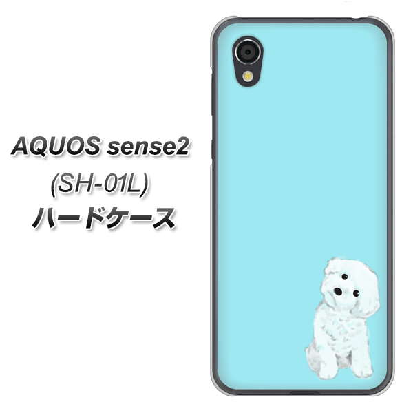 docomo アクオスセンス2 SH-01L 高画質仕上げ 背面印刷 ハードケース【YJ070 トイプードルホワイト(ブルー)】