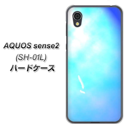 docomo アクオスセンス2 SH-01L 高画質仕上げ 背面印刷 ハードケース【YJ291 デザイン 光】