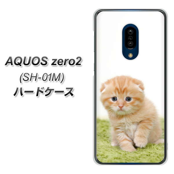 docomo アクオスゼロ2 SH-01M 高画質仕上げ 背面印刷 ハードケース【VA802 ネコこっそり】