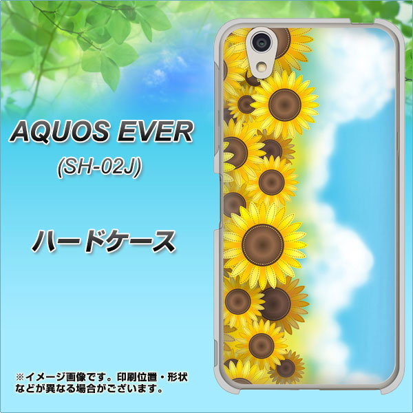 docomo アクオスエバー SH-02J 高画質仕上げ 背面印刷 ハードケース【148 ひまわり畑】