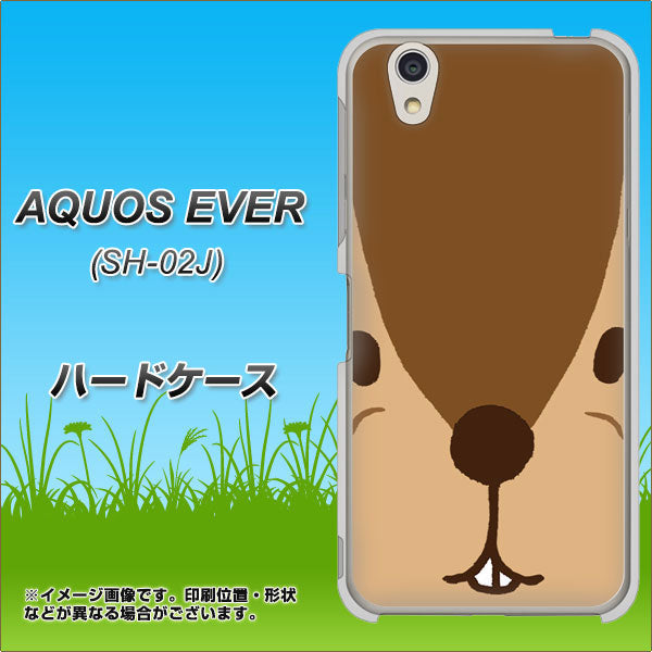 docomo アクオスエバー SH-02J 高画質仕上げ 背面印刷 ハードケース【349 りす】