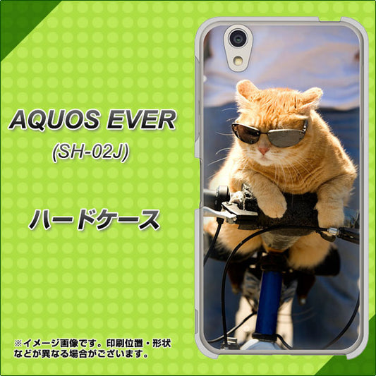 docomo アクオスエバー SH-02J 高画質仕上げ 背面印刷 ハードケース【595 にゃんとサイクル】